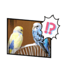 犬と猫と鳥の愉快な仲間達（個別スタンプ：5）