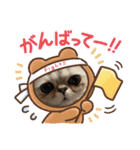犬と猫と鳥の愉快な仲間達（個別スタンプ：14）