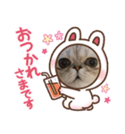犬と猫と鳥の愉快な仲間達（個別スタンプ：15）