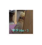 MOKA＆イヴ（個別スタンプ：1）