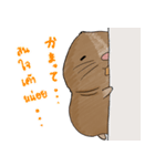 ピーちゃんだよ！（個別スタンプ：1）