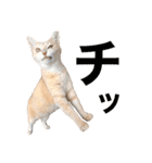LaToNeRuさんちのこ②(ダラダラ編)（個別スタンプ：7）