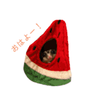 LaToNeRuさんちのこ②(ダラダラ編)（個別スタンプ：18）