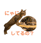 LaToNeRuさんちのこ②(ダラダラ編)（個別スタンプ：26）