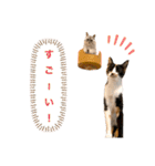 LaToNeRuさんちのこ②(ダラダラ編)（個別スタンプ：27）
