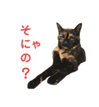 LaToNeRuさんちのこ②(ダラダラ編)（個別スタンプ：30）