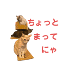 LaToNeRuさんちのこ②(ダラダラ編)（個別スタンプ：32）