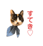 LaToNeRuさんちのこ②(ダラダラ編)（個別スタンプ：35）