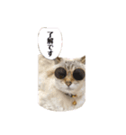 デイジー尊い（個別スタンプ：1）