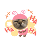 デイジー尊い（個別スタンプ：10）