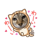 デイジー尊い（個別スタンプ：16）