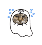 デイジー尊い（個別スタンプ：32）