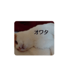 ておの気分（個別スタンプ：3）