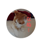 ておの気分（個別スタンプ：4）