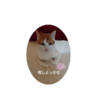 ておの気分（個別スタンプ：5）