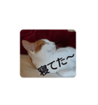 ておの気分（個別スタンプ：6）