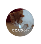 ておの気分（個別スタンプ：7）