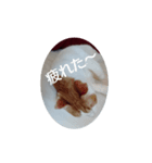 ておの気分（個別スタンプ：8）