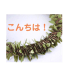 ハワイアン・リボンレイ（個別スタンプ：4）