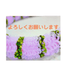 ハワイアン・リボンレイ（個別スタンプ：19）