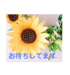 ハワイアン・リボンレイ（個別スタンプ：21）