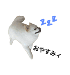 てったんのまいにち（個別スタンプ：2）