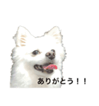 てったんのまいにち（個別スタンプ：10）