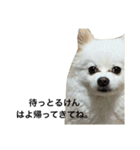 てったんのまいにち（個別スタンプ：18）