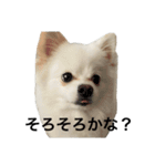 てったんのまいにち（個別スタンプ：20）