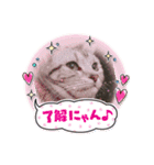 るんかしゃんのスタンプ（個別スタンプ：14）