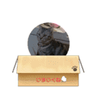 るんかしゃんのスタンプ（個別スタンプ：16）