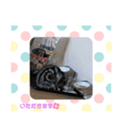 るんかしゃんのスタンプ（個別スタンプ：19）