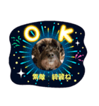 アンコちゃんと一緒（個別スタンプ：4）