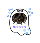 アンコちゃんと一緒（個別スタンプ：8）