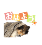 イヴパラダイス（個別スタンプ：1）