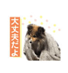 イヴパラダイス（個別スタンプ：3）