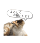 イヴパラダイス（個別スタンプ：10）