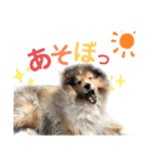 イヴパラダイス（個別スタンプ：12）