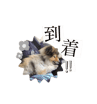 イヴパラダイス（個別スタンプ：15）