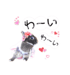こしあんぱぴぃくろまめ（個別スタンプ：21）