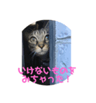 くぅの気持ち#（個別スタンプ：2）