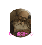 くぅの気持ち#（個別スタンプ：5）