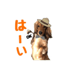 ココのスタンプ第1弾（個別スタンプ：2）