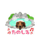ココのスタンプ第1弾（個別スタンプ：6）