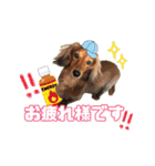 ココのスタンプ第1弾（個別スタンプ：8）
