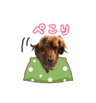 ココのスタンプ第1弾（個別スタンプ：12）