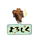 ココのスタンプ第1弾（個別スタンプ：15）