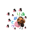 ココのスタンプ第1弾（個別スタンプ：19）