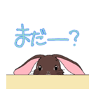 うさぎのココスタンプ（個別スタンプ：21）