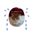 ておの気分2（個別スタンプ：3）